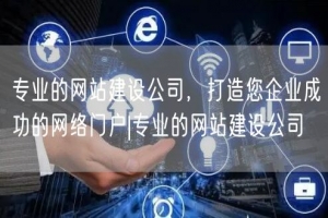 专业的网站建设公司，打造您企业成功的网络门户|专业的网站建设公司